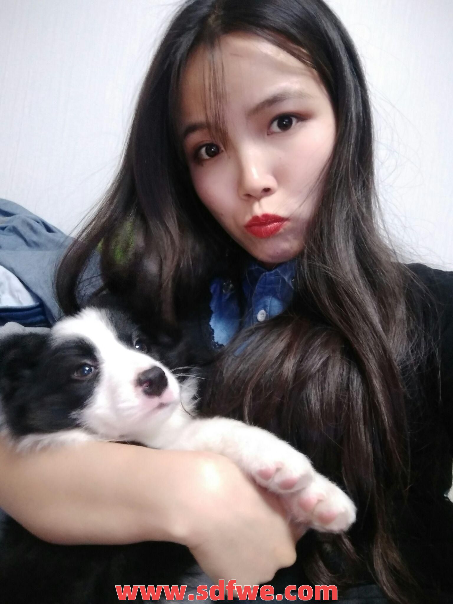 从前用一血换狗书的女生，现在怎么样了？ 