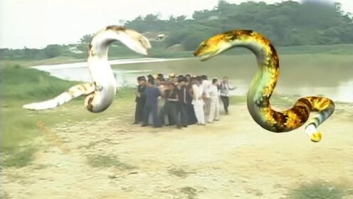 中变传奇中道术1-5的银蛇你可知？ 